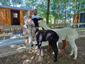 Alpacacamp